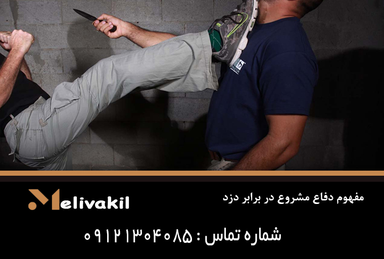 مفهوم دفاع مشروع در برابر دزد