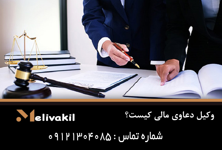 وکیل دعاوی مالی کیست؟